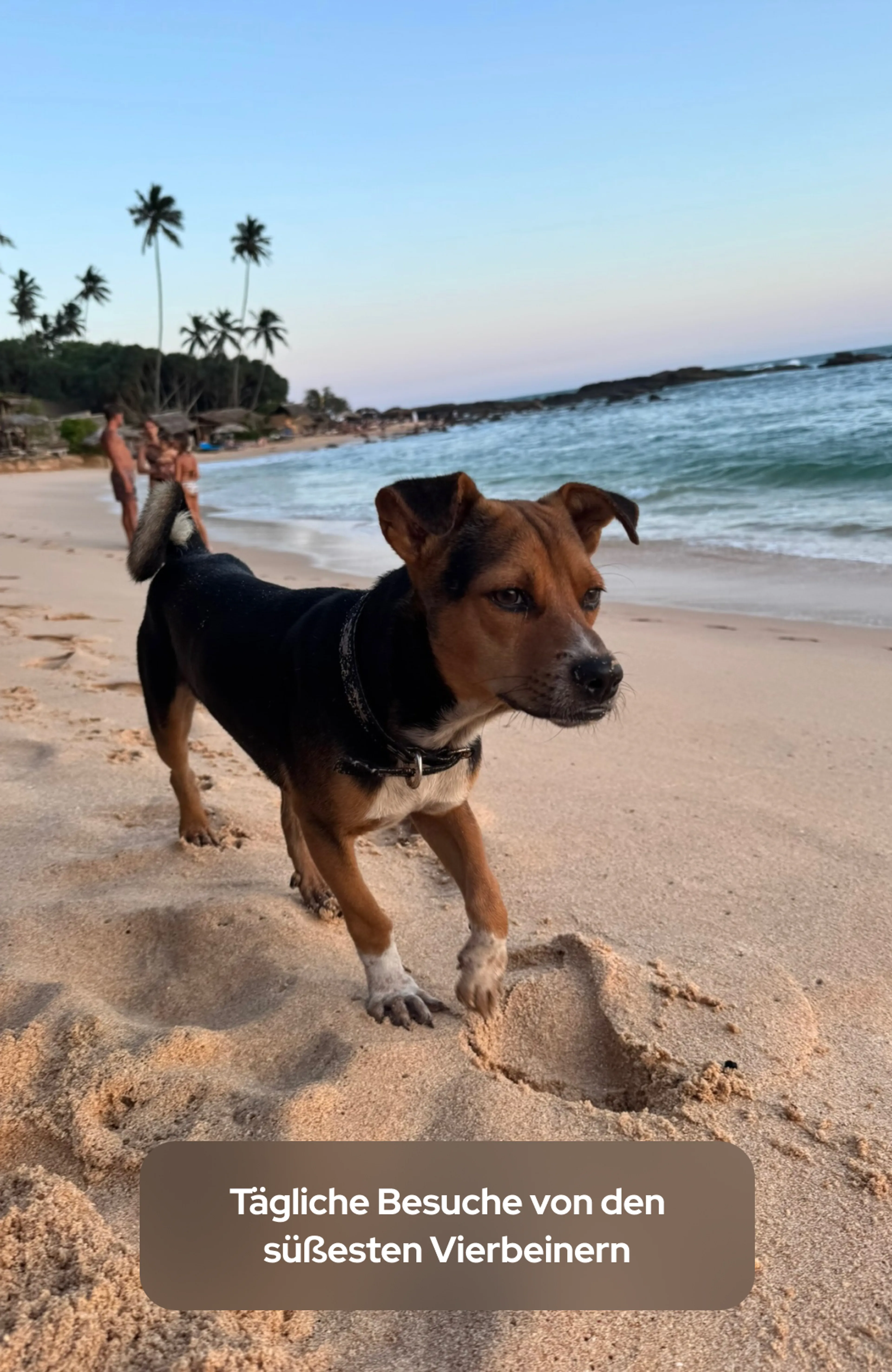 Sri Lanka 19
